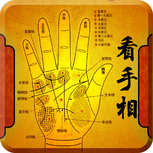 手相命理大师下载_手相命理大师手机版免费下